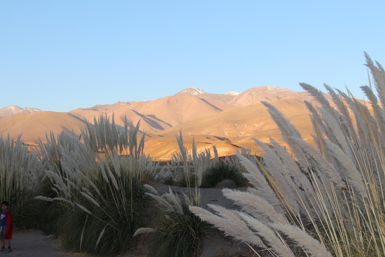 Cabaña Nachitor San Pedro de Atacama Exterior foto